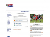 tsv-blaichach-fussball.de Webseite Vorschau