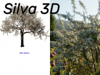 silva3d.com
