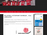 re-volleyball.de Webseite Vorschau