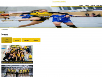 handballismaning.de Webseite Vorschau