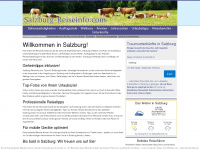 salzburg-reiseinfo.com Webseite Vorschau