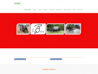 team-bw.ch Webseite Vorschau