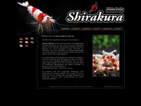 shirakura-shop.de Webseite Vorschau