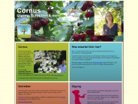 cornus.de Webseite Vorschau