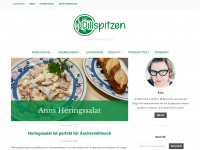 dillspitzen.net Webseite Vorschau