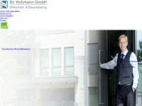 hollmann-steuerberatung.de Webseite Vorschau
