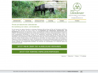 dipl-lebensberater.info Webseite Vorschau