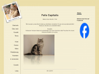 felis-capitalis.at Webseite Vorschau