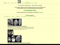 foraminifera.eu Webseite Vorschau