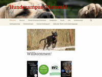 hundecampus-odenwald.de