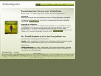 biofeldregulator.de Webseite Vorschau