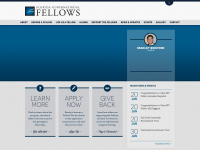 floridafellows.com Webseite Vorschau