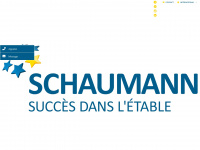 schaumann.fr