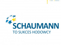schaumann.pl Webseite Vorschau