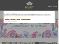 blumenmeyer.com Webseite Vorschau