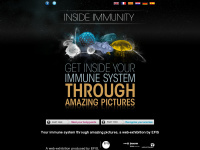 inside-immunity.org Webseite Vorschau