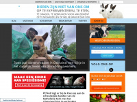 peta.nl Webseite Vorschau