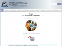 professionelles-qigong.de Webseite Vorschau
