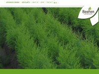 beeren-plantproducts.com Webseite Vorschau