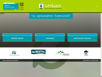 seebach.de Webseite Vorschau