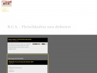 b-c-s.ch Webseite Vorschau