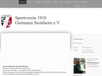 svg-steinheim.de Thumbnail