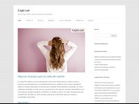 cajei.cat Webseite Vorschau