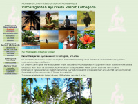 ayurveda-ausbildung.net Webseite Vorschau