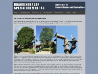 brandenberger-spezialholzerei.ch Webseite Vorschau