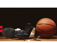 hamburg-basket.de Webseite Vorschau