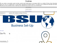 bsu-consulting.de Webseite Vorschau