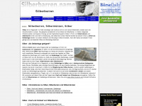 silberbarren.name Webseite Vorschau