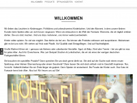 hoehenflug.com Webseite Vorschau
