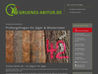 gruenesabitur.de Webseite Vorschau
