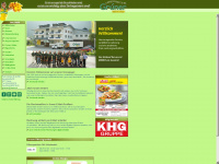 gruener-kg.co.at Webseite Vorschau