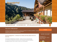 bruneggerhof.com Webseite Vorschau