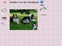 shelties-havelperle.de Webseite Vorschau