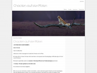 chaoten-auf-vier-pfoten.de Webseite Vorschau