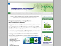 energiemanagement-und-energieeffizienz.de Webseite Vorschau