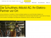 schultheismoeckli.ch Webseite Vorschau