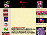 hibiscus-of-tahiti.com Webseite Vorschau