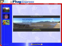 flugexpress.ch Webseite Vorschau