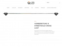 go2b.de Webseite Vorschau