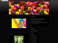 redlinedesignphotography.blogspot.com Webseite Vorschau
