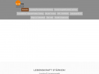 laviennaconsulting.at Webseite Vorschau