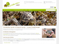 schildkröten.net Webseite Vorschau