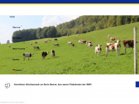 mibabasel.ch Webseite Vorschau