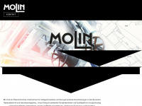 molin.at Webseite Vorschau