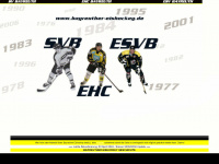 bayreuther-eishockey.de Webseite Vorschau