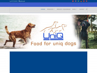 uniq.dk Webseite Vorschau